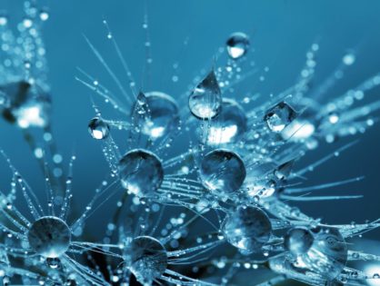 Osmoseur professionnel